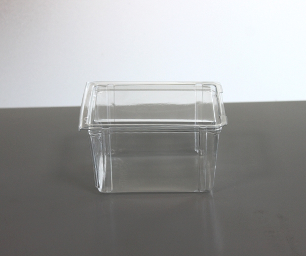 Clamshell 9